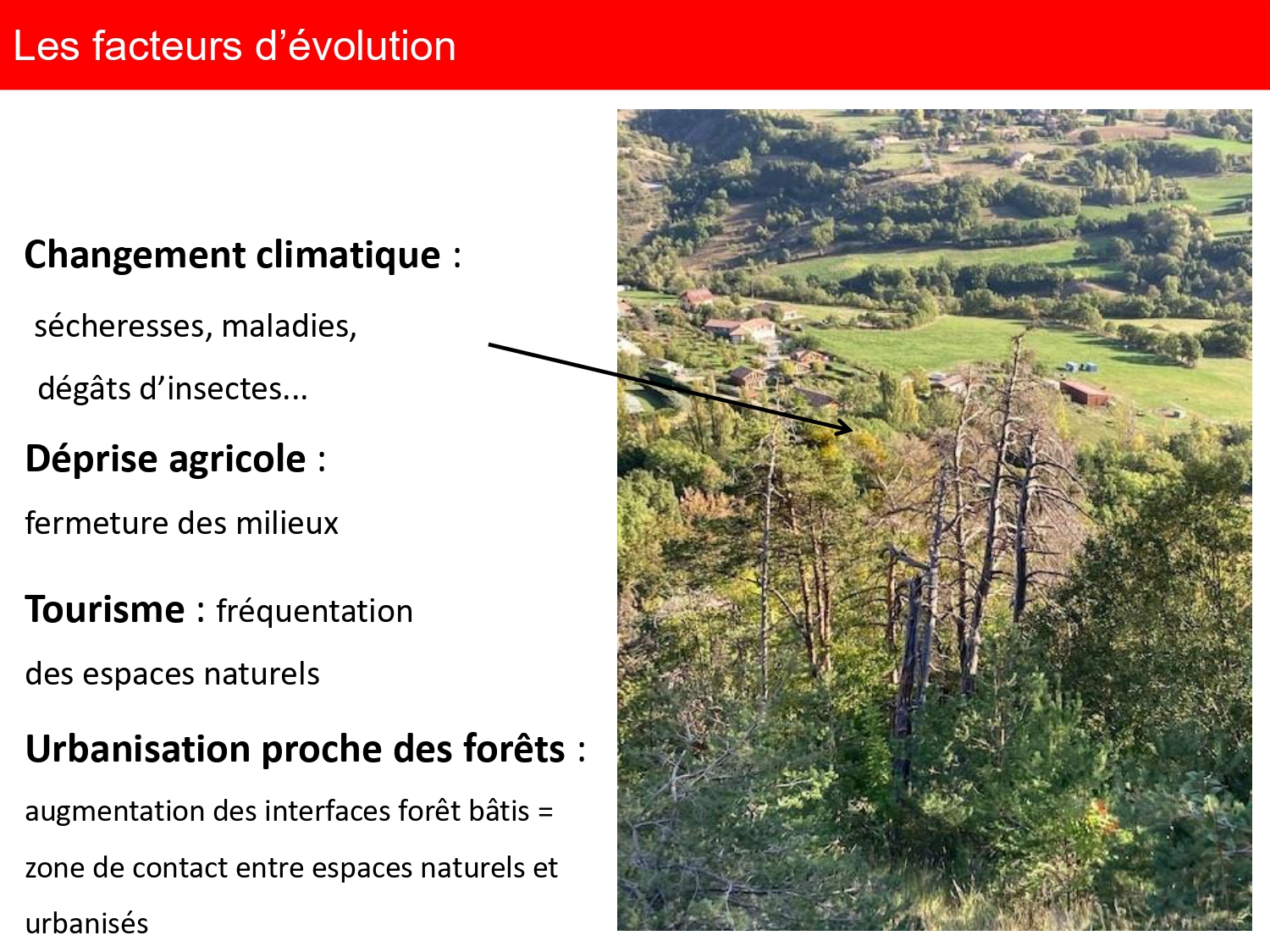 réunion publique OLD