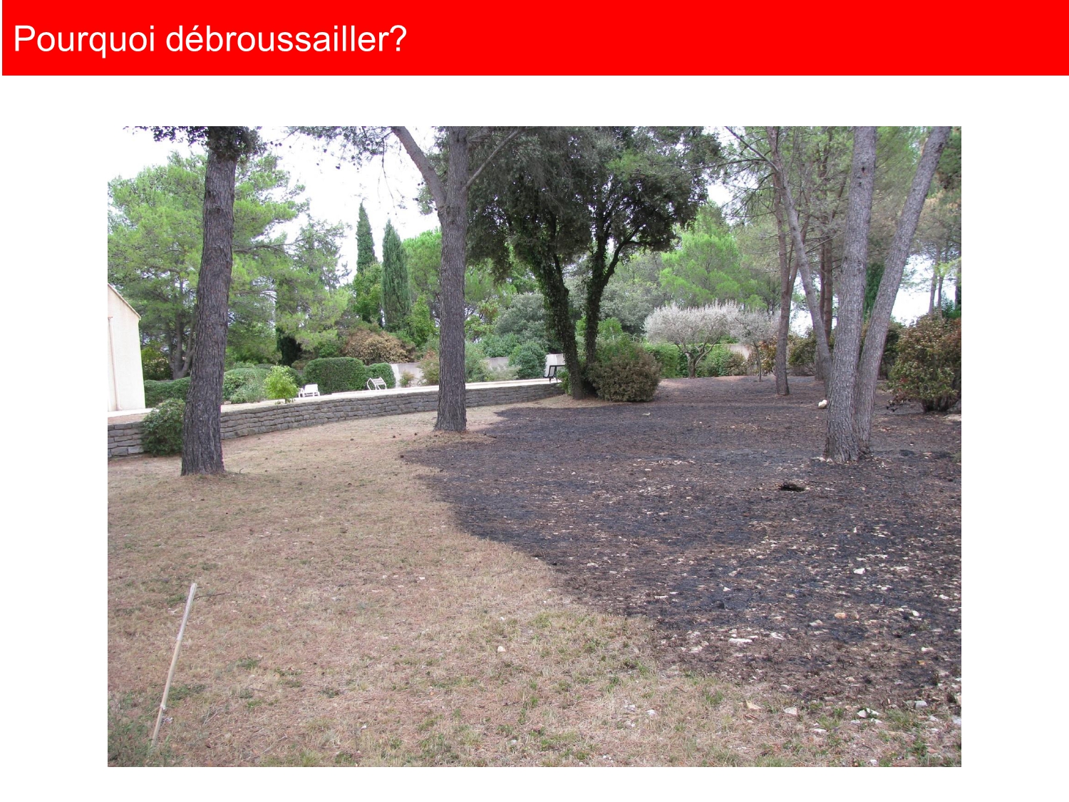 réunion publique OLD