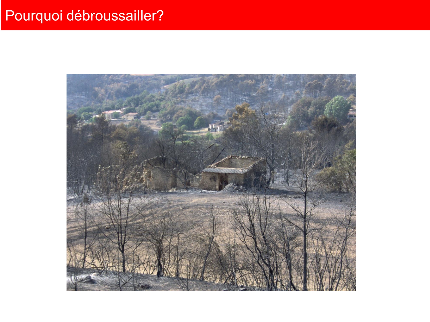 réunion publique OLD