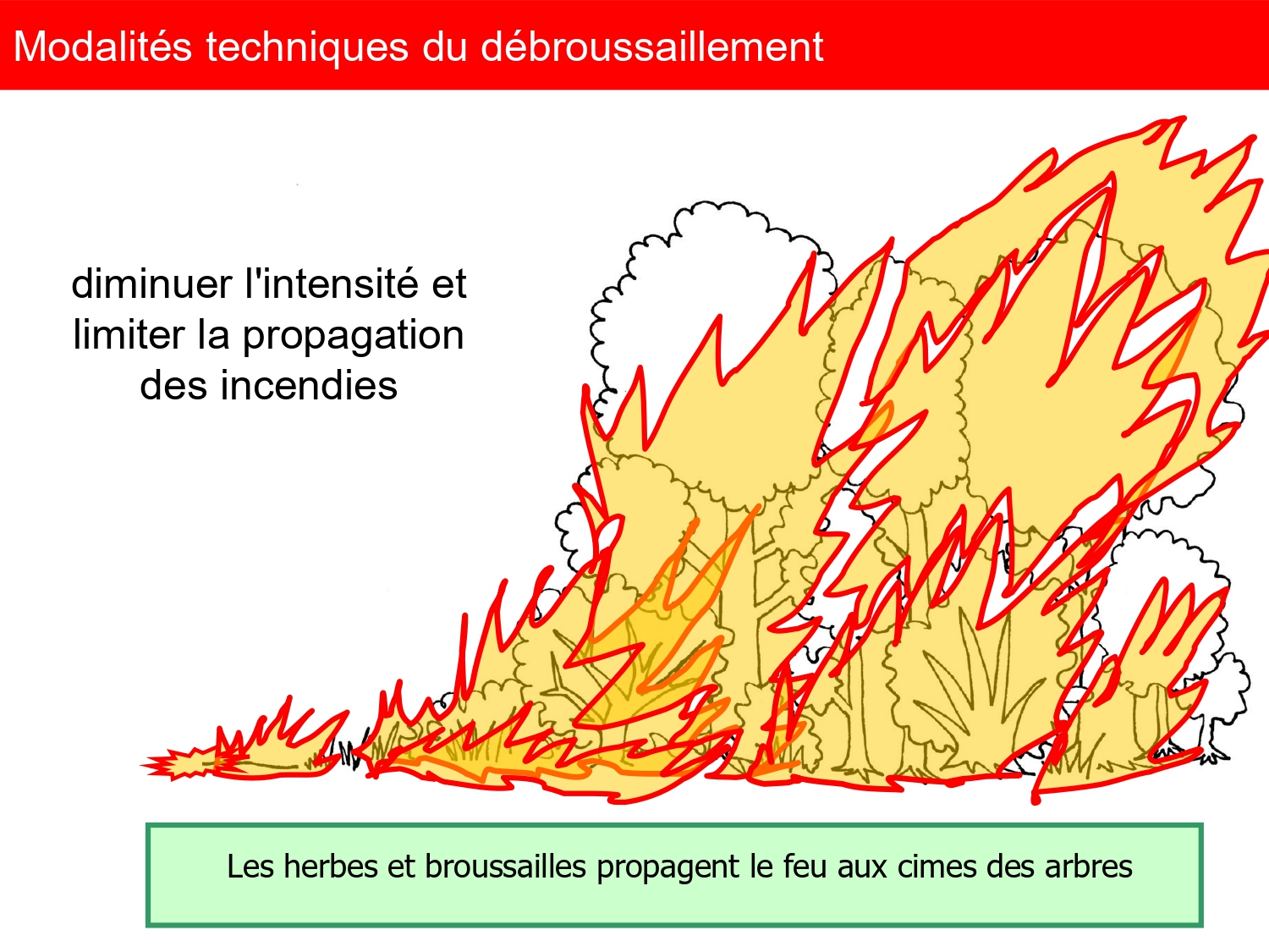réunion publique OLD