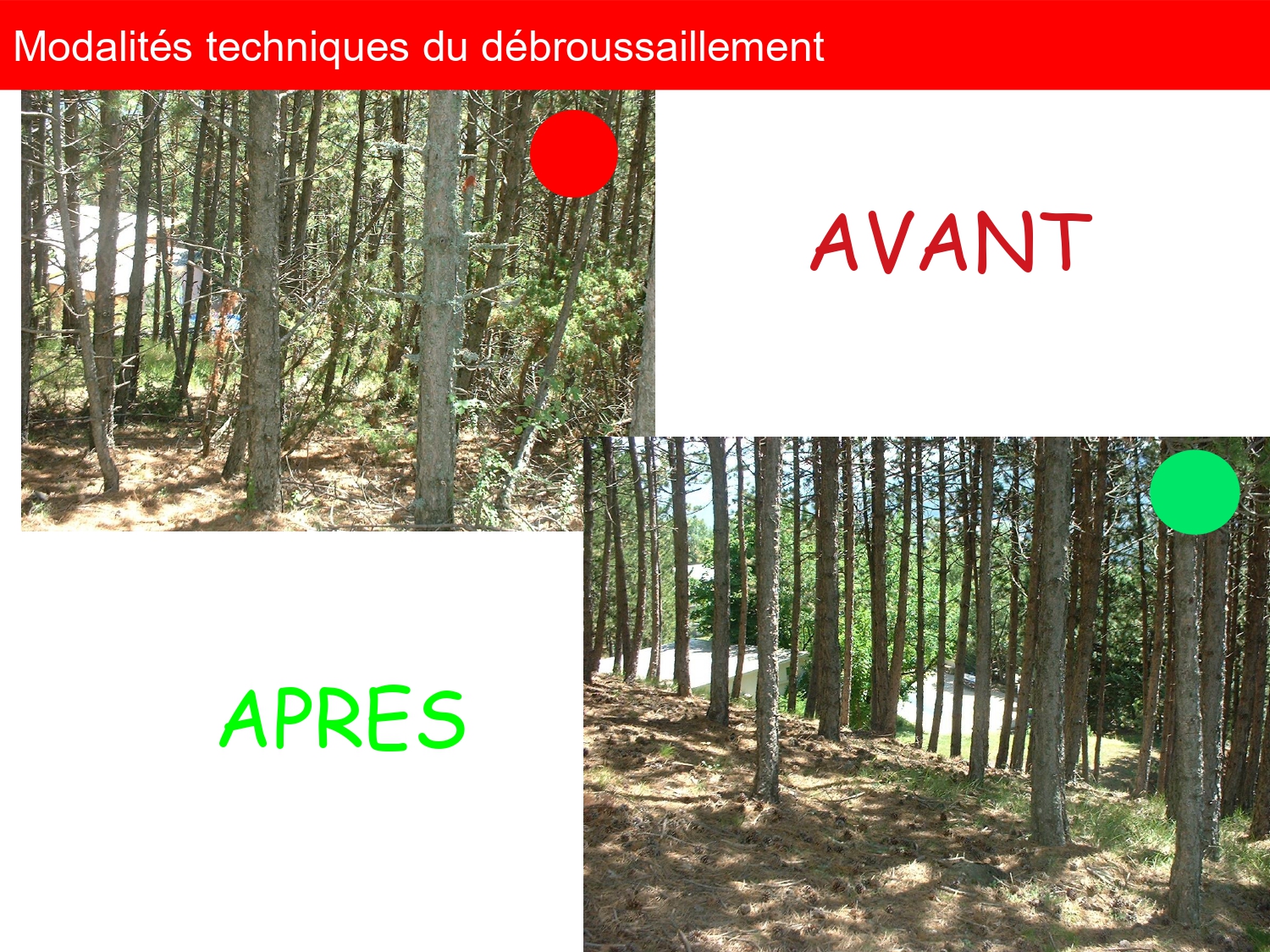 réunion publique OLD