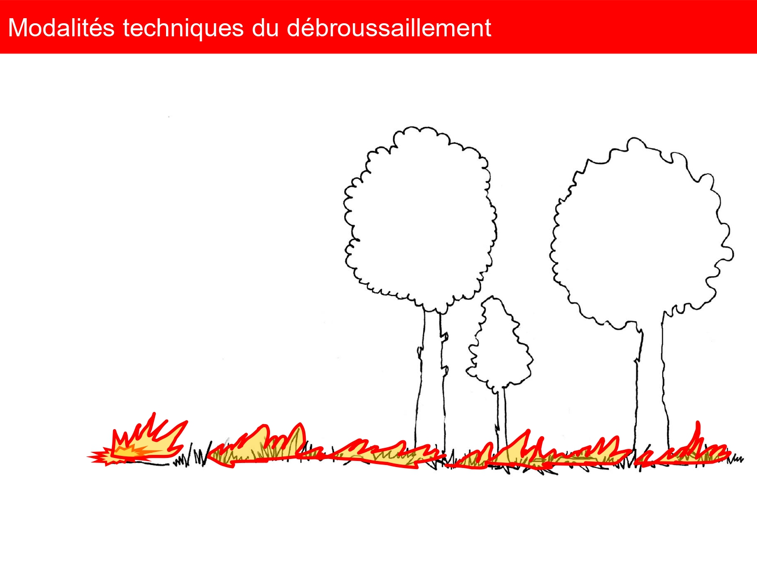 réunion publique OLD