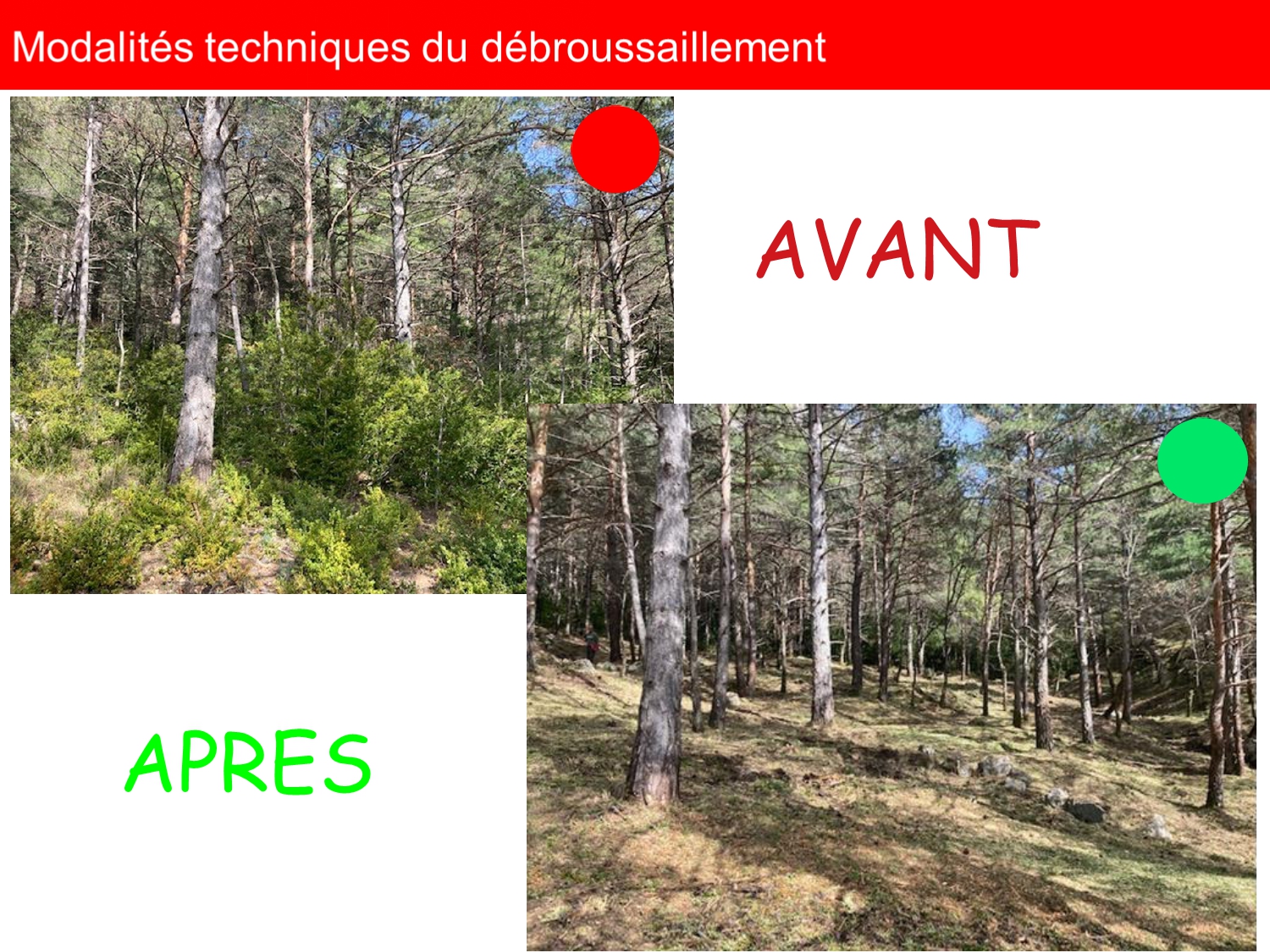 réunion publique OLD