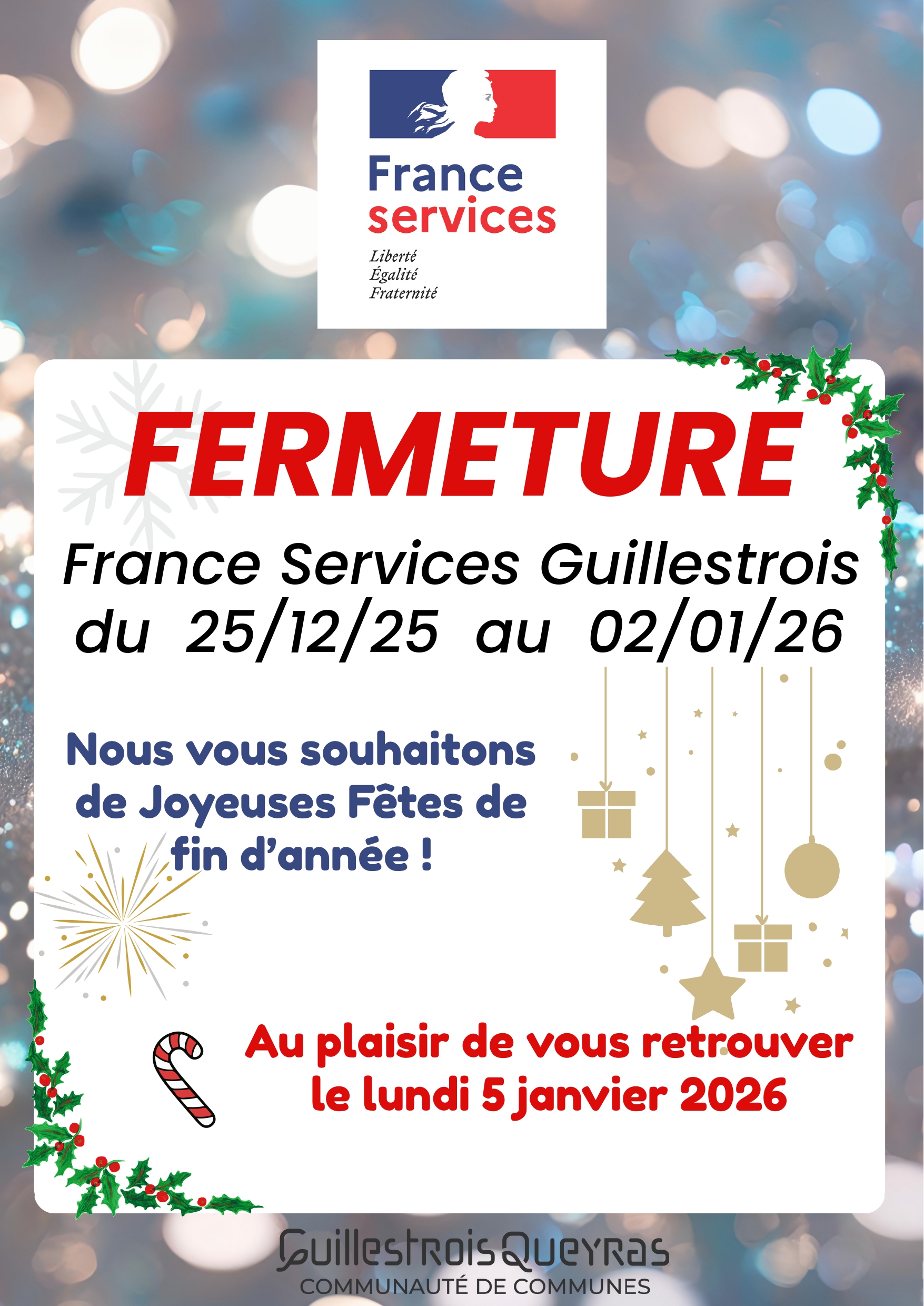 france service