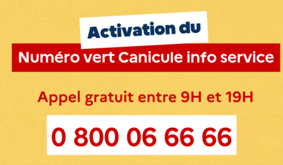 canicule canicule